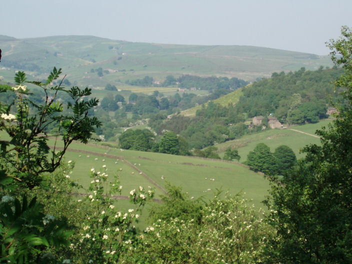 Gradbach Gradbach
